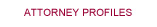 Attorney Profiles